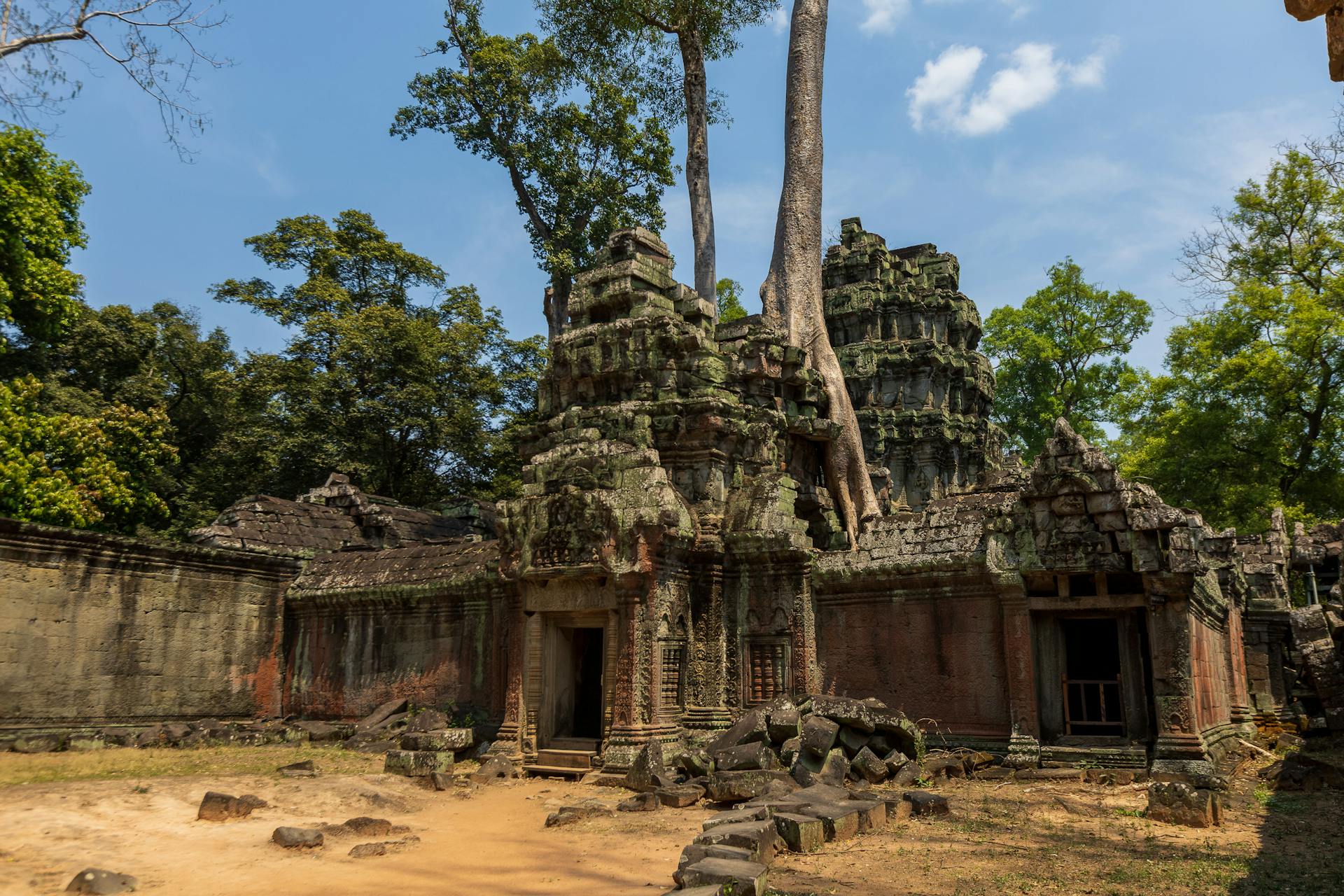 Ta Prohm Tree Roots and Temples, Siem Reap, Cambodia